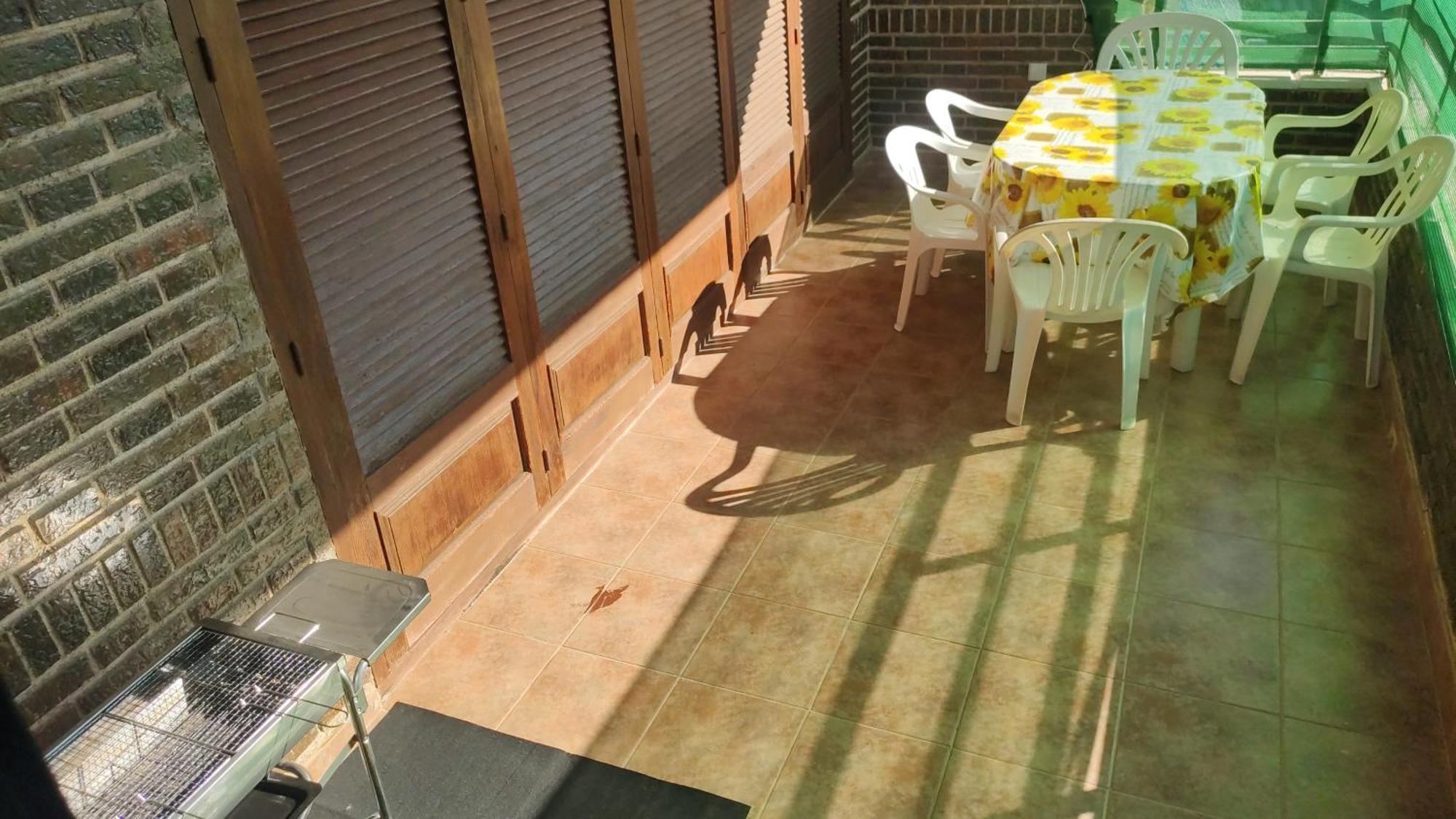 Big Penthouse For 10 Per Leilighet Torrevieja Eksteriør bilde